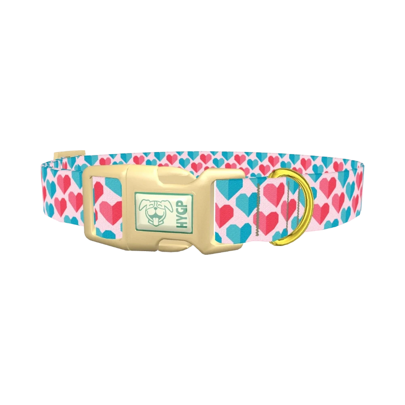 Geometric Colorful Heart Dog Collar - plastic gold