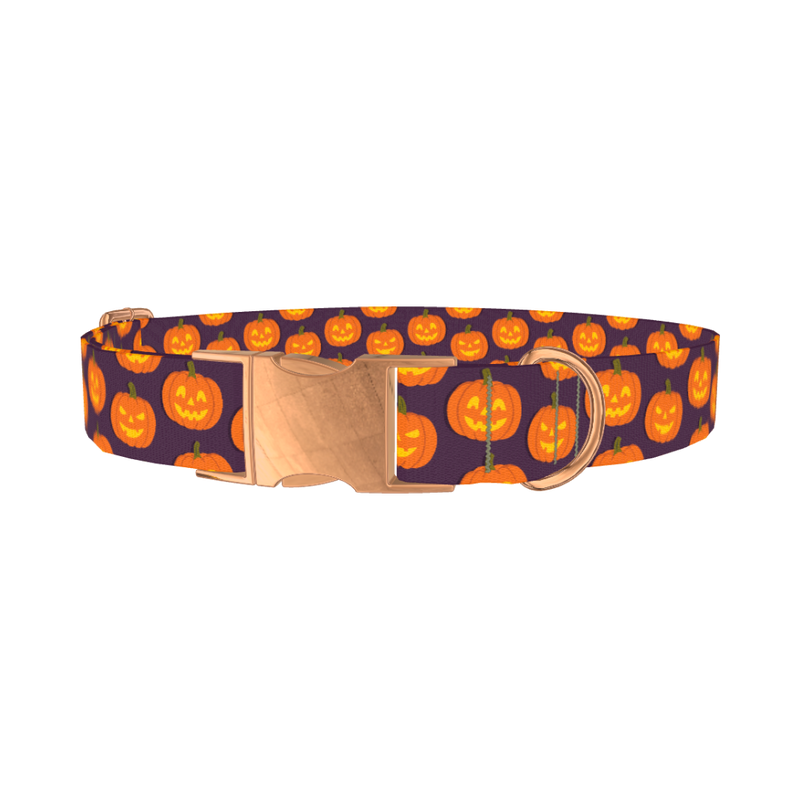 Halloween Pumpkin Dog Collar - metal rose gold