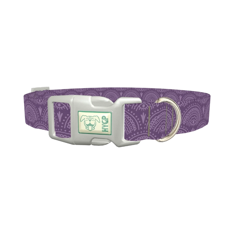 Purple Eye Pattern Dog Collar - plastic silver