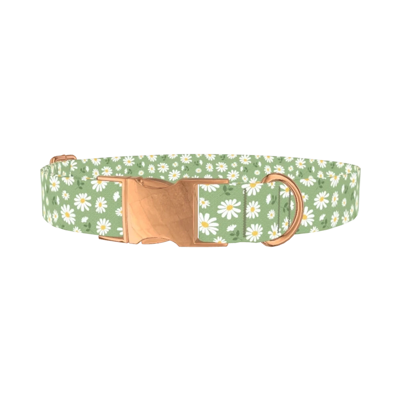 Green Daisy Dog Collar - metal rose gold