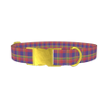 Multicolor Plaid Dog Collar - metal gold