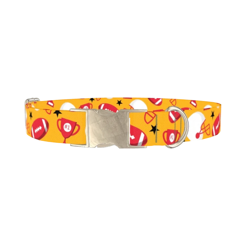 Football Trophy Dog Collar - metal silver