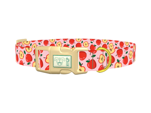 Apple Fruit Dog Collar