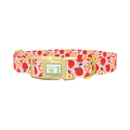 Apple Fruit Dog Collar - plastic gold