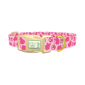 Pink Peace Sign Dog Collar - plastic gold