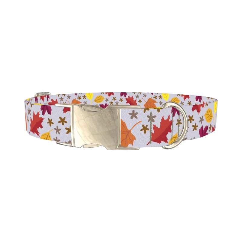 Colorful Fall Leaf Dog Collar - metal silver