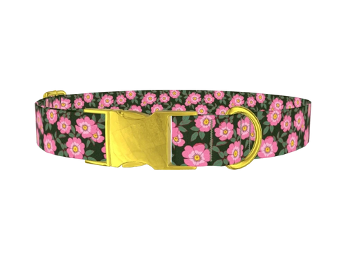 FLORAL_Wildroses