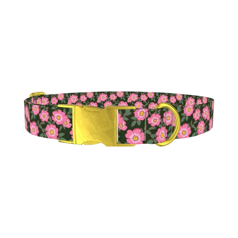 Floral Wild Rose Dog Collar - metal gold