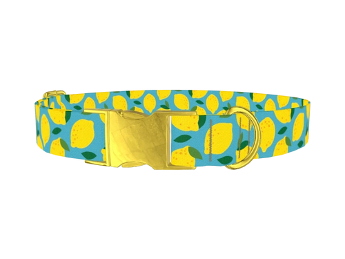 FOOD6_Lemons6