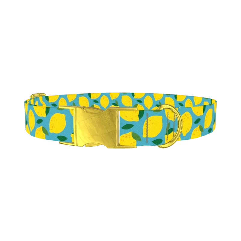 Blue Lemon Pattern Dog Collar - metal gold