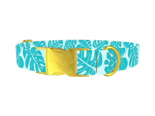 Tropical_MonsteraLeaves