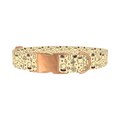 Witchy Halloween Dog Collar - metal rose gold