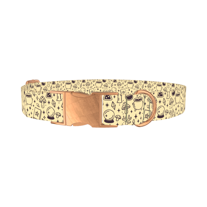 Witchy Halloween Dog Collar - metal rose gold