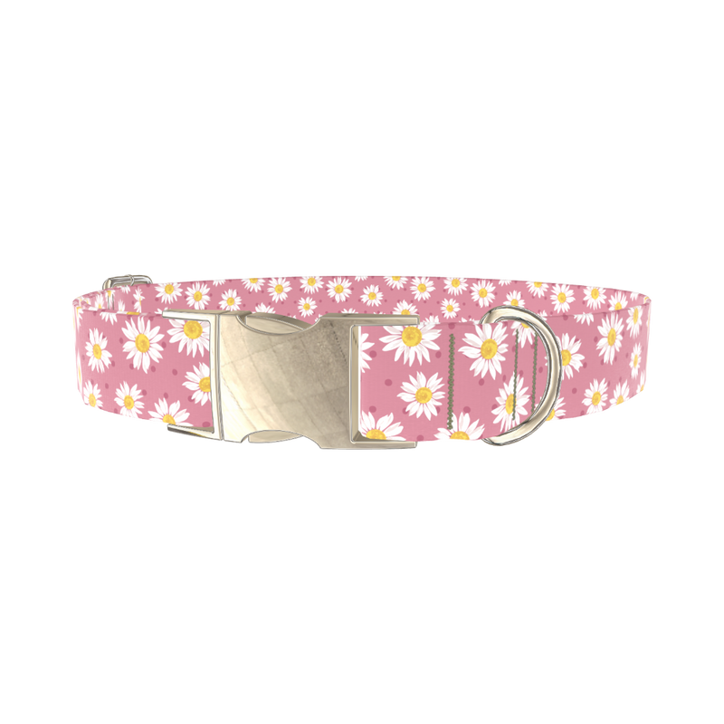 Pink Daisy Dog Collar - metal silver