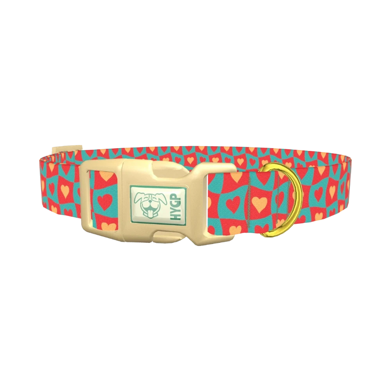 Groovy Hearts Dog Collar - plastic gold