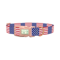 Patriotic American Flag Dog Collar - plastic rose gold