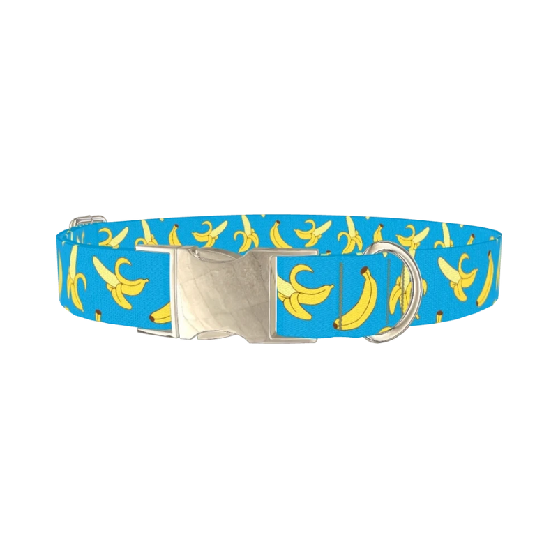 Banana Fruit Dog Collar - metal silver