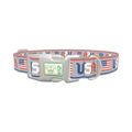 Patriotic USA Flag Dog Collar - plastic silver