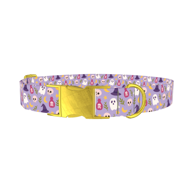 Halloween Ghost Dog Collar - plastic gold