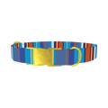 Orange Blue Stripes Dog Collar - metal gold