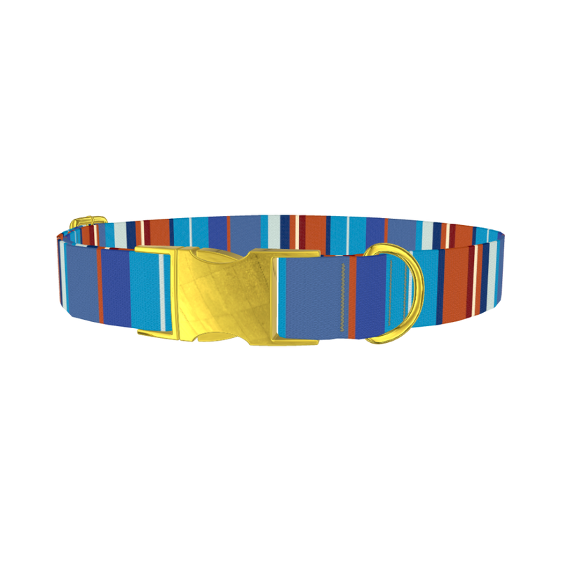 Orange Blue Stripes Dog Collar - metal gold