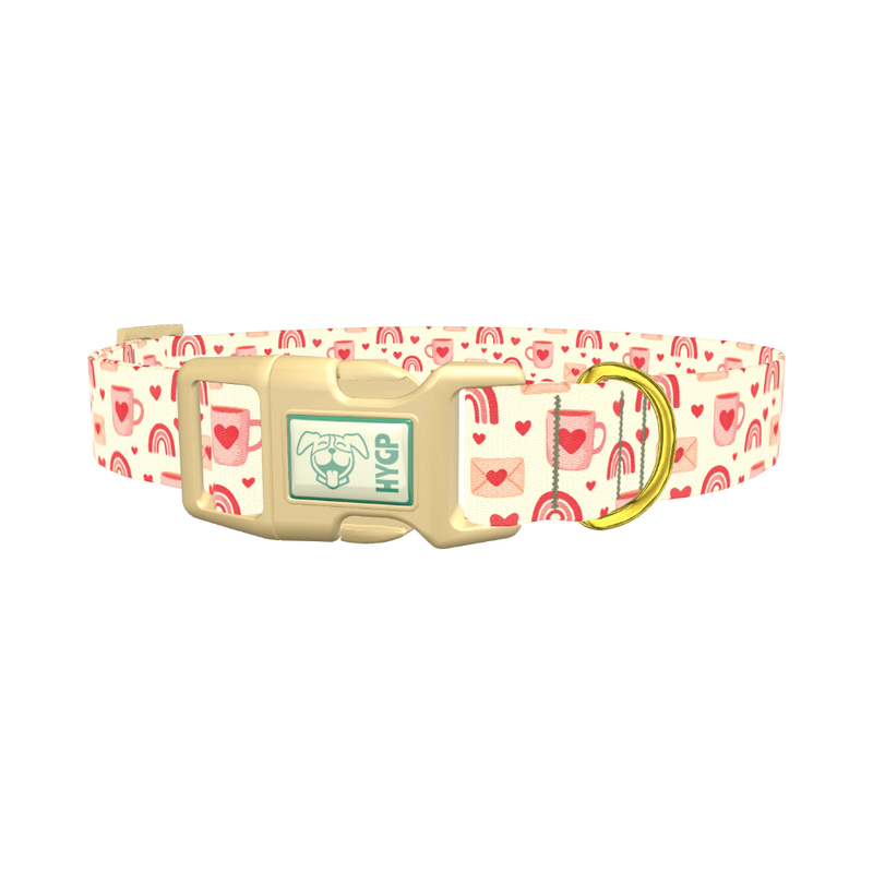 Valentine Mug and Envelope Dog Collar - plastic gold