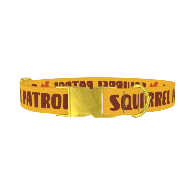 Yellow Squirrel Dog Collar - metal gold