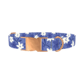Blue Floral Pattern Dog Collar - metal rose gold