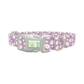 Lavender Daisy Pattern Dog Collar - plastic silver