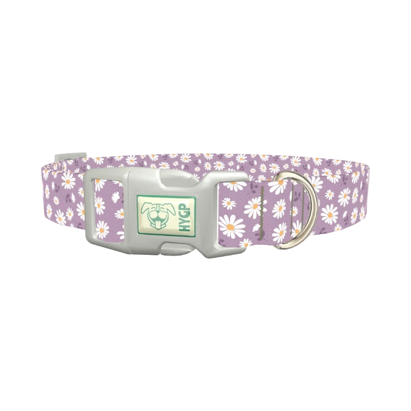 Lavender Daisy Pattern Dog Collar - plastic silver