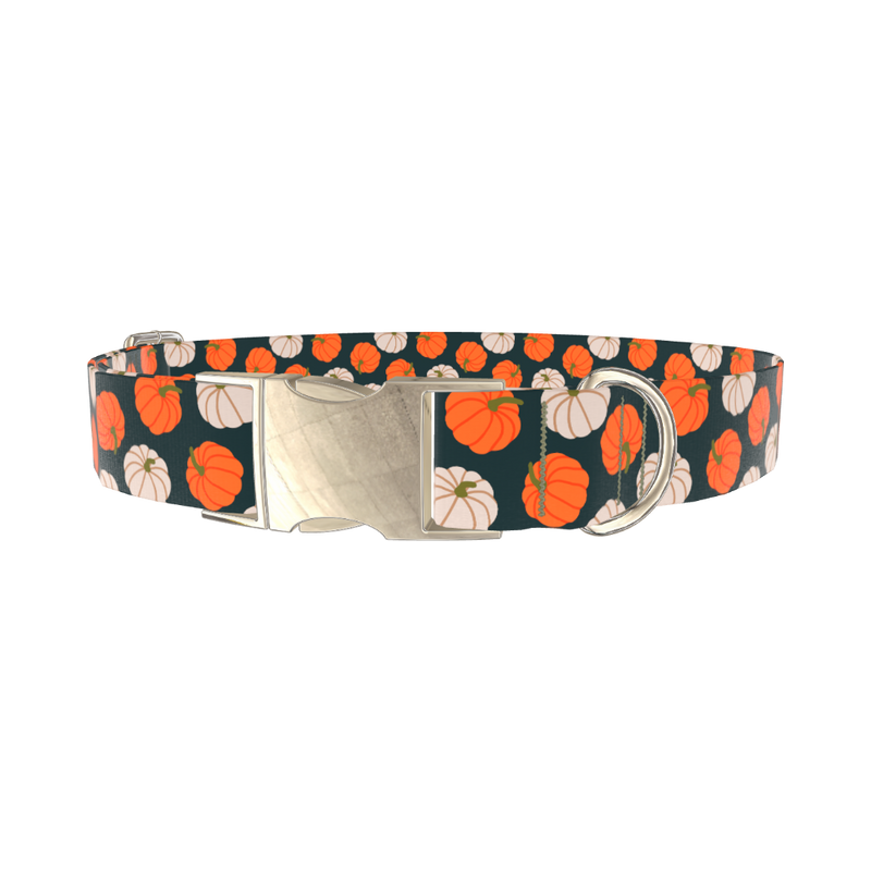 Pumpkin Patch Dog Collar - metal gold