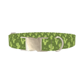 Cactus Desert Dog Collar - metal silver
