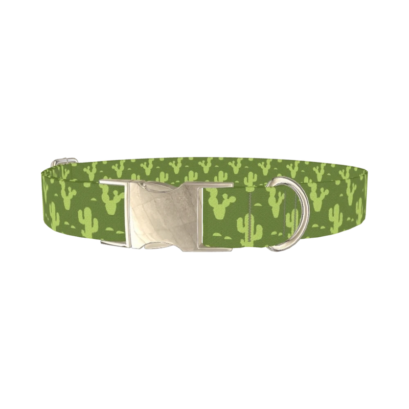 Cactus Desert Dog Collar - metal silver