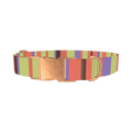 Green Striped Dog Collar - metal rose gold