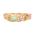Avocado Toast Dog Collar - plastic gold