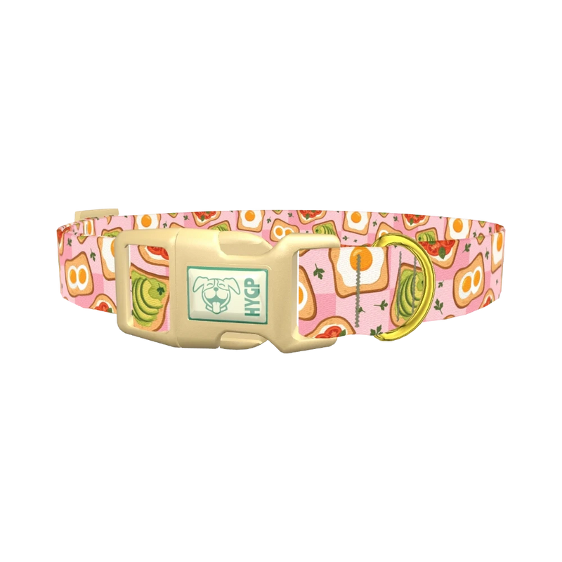Avocado Toast Dog Collar - plastic gold