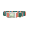 Green Orange Stripe Dog Collar - plastic silver