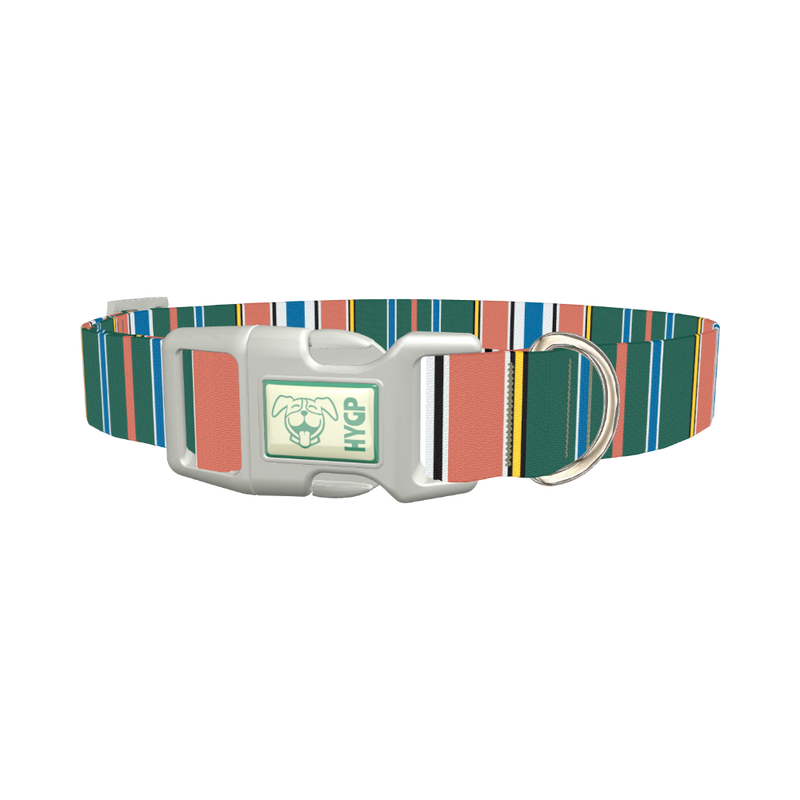 Green Orange Stripe Dog Collar - plastic silver