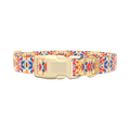 Multicolor Tie Dye Dog Collar - plastic silver