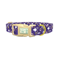 Purple Graveyard Halloween Dog Collar - plastic gold