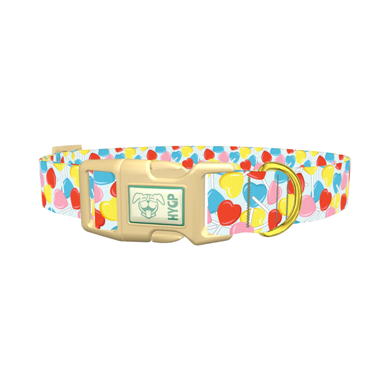 Candy Heart Dog Collar - plastic gold