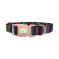 Bold Black Stripe Dog Collar - plastic rose gold