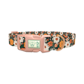 Dark Multicolor Floral Dog Collar - plastic rose gold