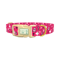 Pink Halloween Graveyard Dog Collar - plastic gold