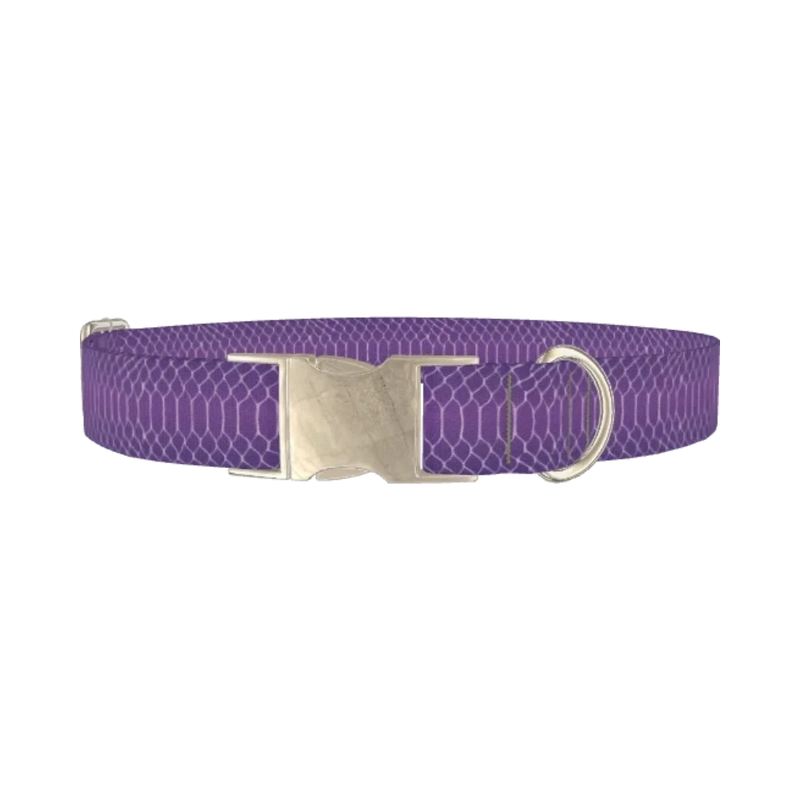Purple Snake Print Dog Collar - metal silver