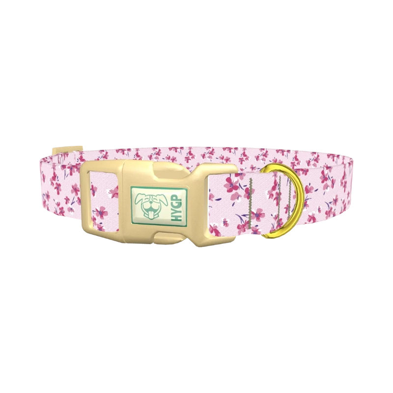 Floral Cherry Blossom Dog Collar - plastic gold