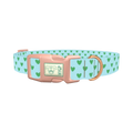 Mint Heart Pattern Dog Collar - plastic rose gold