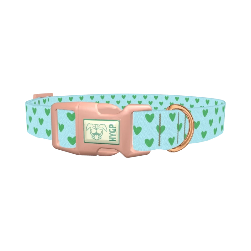 Mint Heart Pattern Dog Collar - plastic rose gold