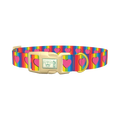 Rainbow Heart Dog Collar - plastic gold