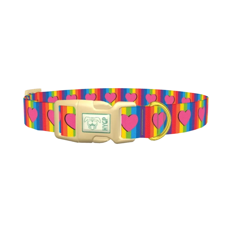 Rainbow Heart Dog Collar - plastic gold